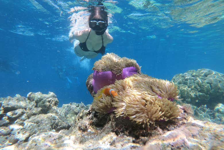 Snorkel en la playa del Escambrón