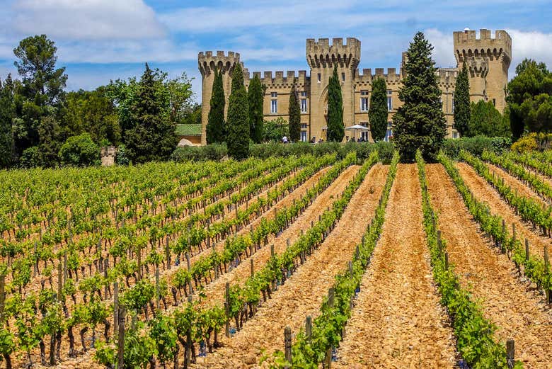 Pont du Gard, Les Baux, Aviñón y Châteauneuf du Pape