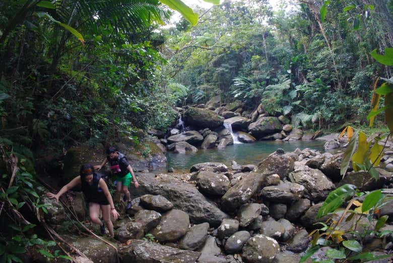 Excursión al Bosque Nacional El Yunque + Paseo en buggy por la playa Piñones
