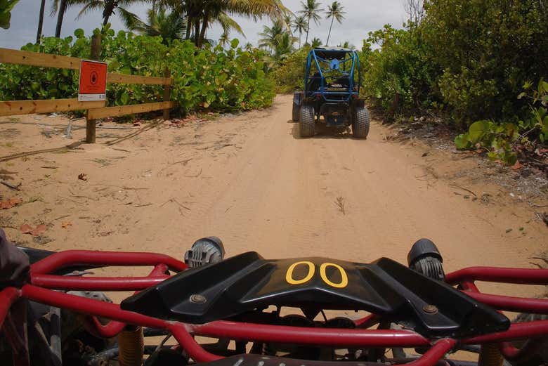 Excursión al Bosque Nacional El Yunque + Paseo en buggy por la playa Piñones