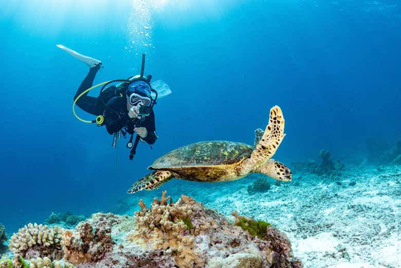 Bautismo de buceo en San Juan