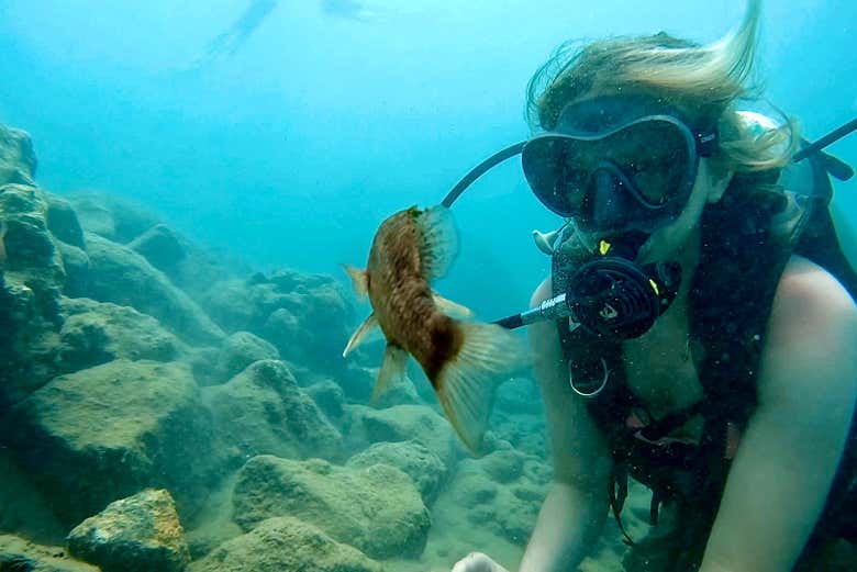 Bautismo de buceo en San Juan
