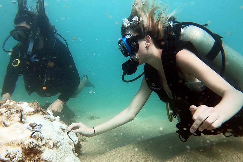 Bautismo de buceo en San Juan