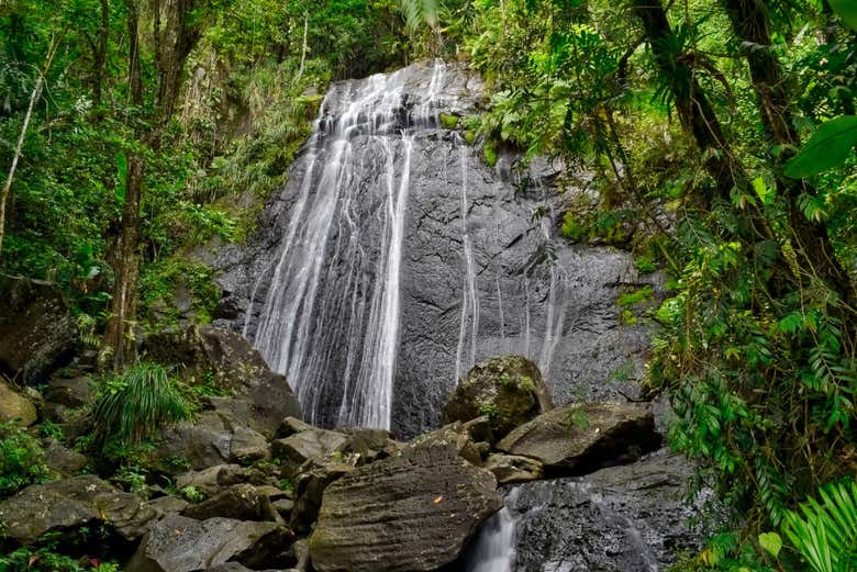Bosque Nacional El Yunque + Bahías bioluminiscentes