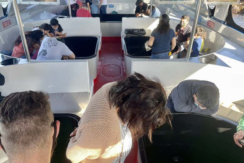 Paseo en barco con fondo de cristal por Long Beach