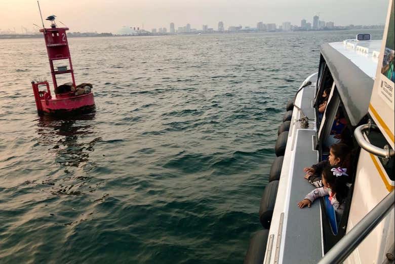 Paseo en barco con fondo de cristal por Long Beach
