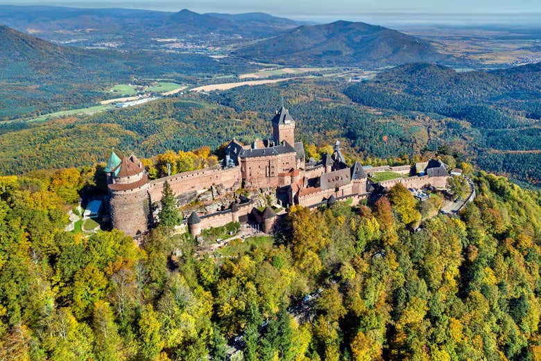 Tour por Alsacia + Castillo Haut-Koenigsbourg