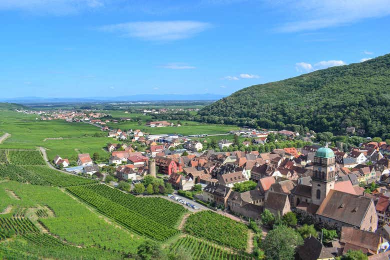 Tour por Alsacia + Castillo Haut-Koenigsbourg