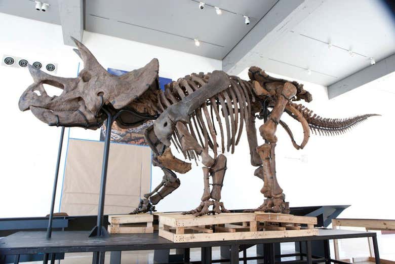 Entrada al Museo de Historia Natural de Los Ángeles