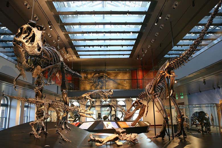 Entrada al Museo de Historia Natural de Los Ángeles