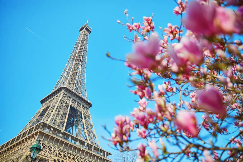 ¿Escala en París? Tour privado desde el aeropuerto