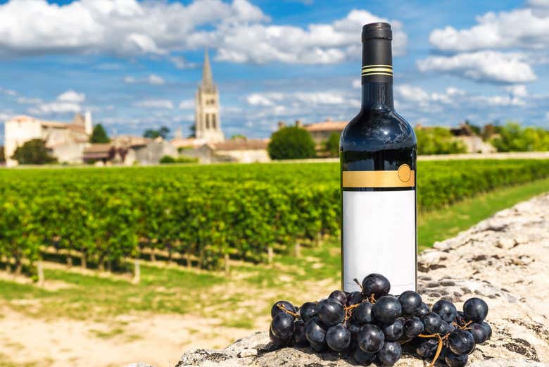 Excursión a Saint-Émilion con visita a la iglesia monolítica + Cata de vinos