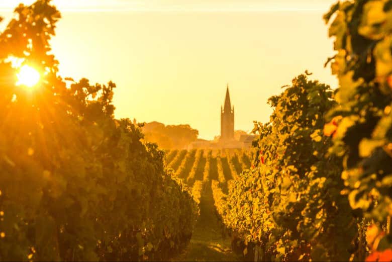 Excursión a Saint-Émilion con visita a la iglesia monolítica + Cata de vinos