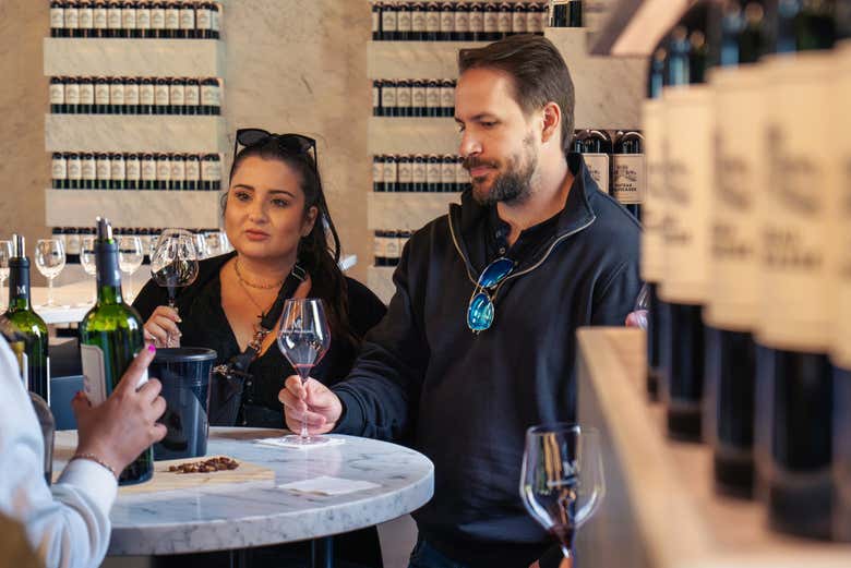 Tour por la región de Médoc con cata de vinos