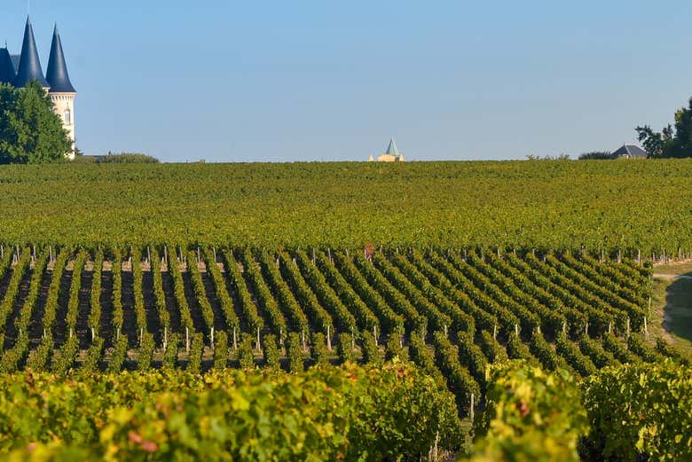 Tour por la región de Médoc con cata de vinos