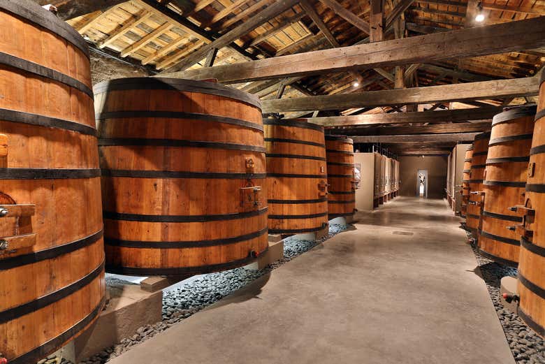 Tour por la región de Médoc con cata de vinos