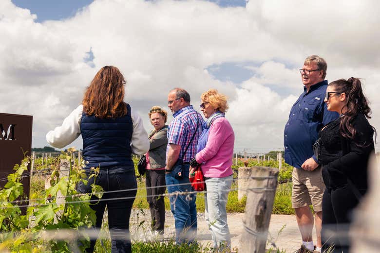 Tour por la región de Médoc con cata de vinos