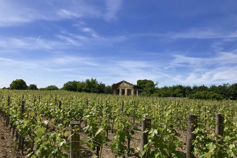 Tour por la región de Médoc con cata de vinos