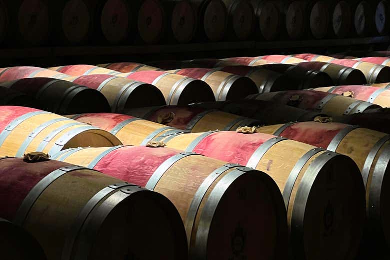 Tour por la región de Médoc con cata de vinos