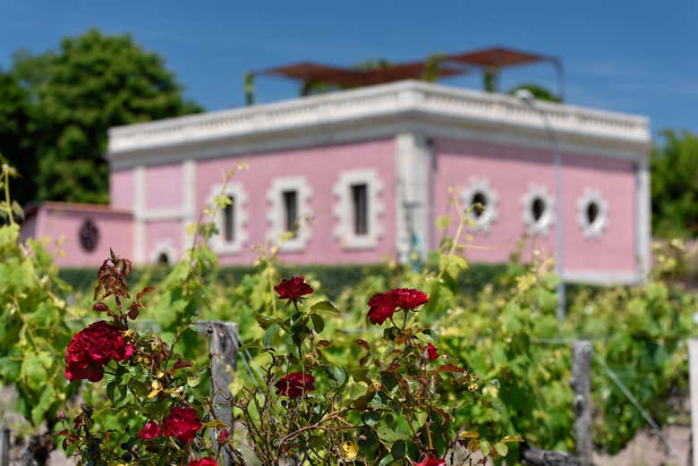 Tour por la región de Médoc con cata de vinos