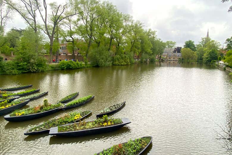 Excursión a Bruselas y Brujas