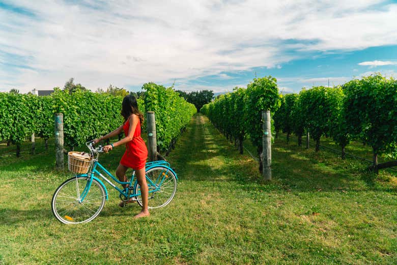 Tour en bicicleta por los viñedos de Saint-Emilion