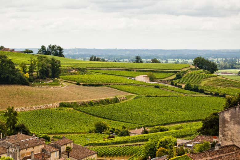 Tour en bicicleta por los viñedos de Saint-Emilion