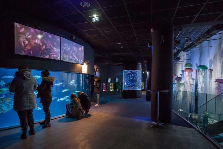 Entrada al Aquarium de París