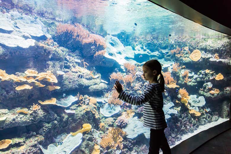 Entrada al Aquarium de París