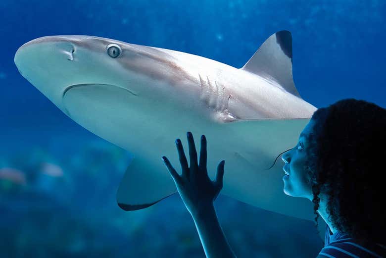 Entrada a SEA LIFE® Paris
