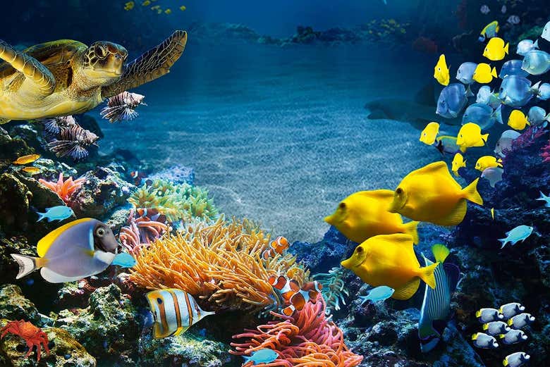 Entrada a SEA LIFE® Paris