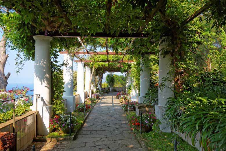 Excursión a Capri y Anacapri
