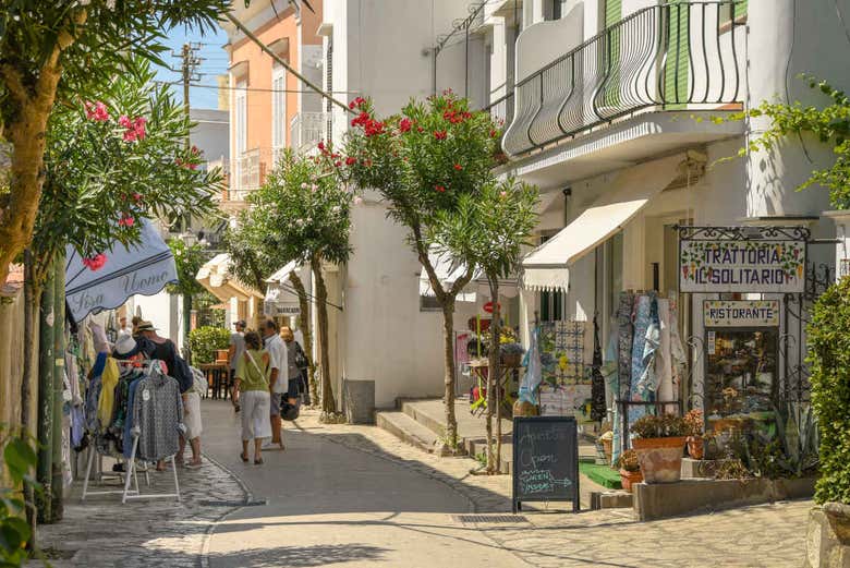 Excursión a Capri y Anacapri