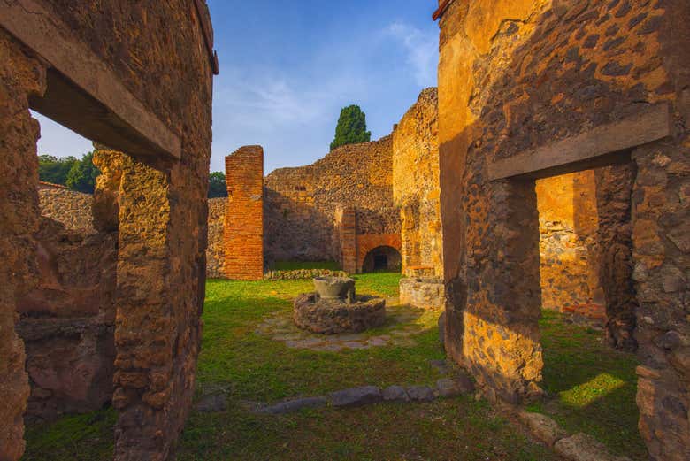 Excursión a Pompeya y Herculano