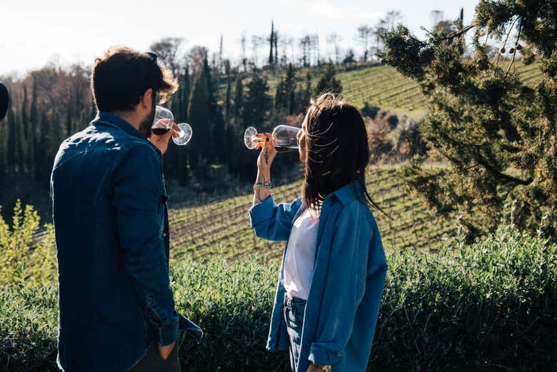 Tour del vino por el Chianti