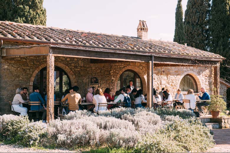 Tour del vino por el Chianti