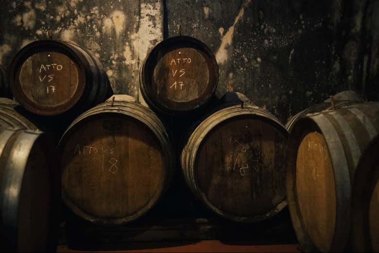 Tour del vino por el Chianti