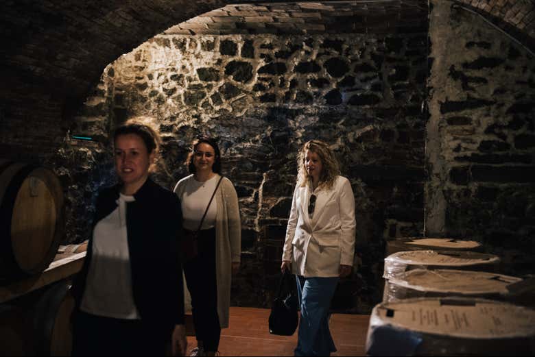 Tour del vino por el Chianti