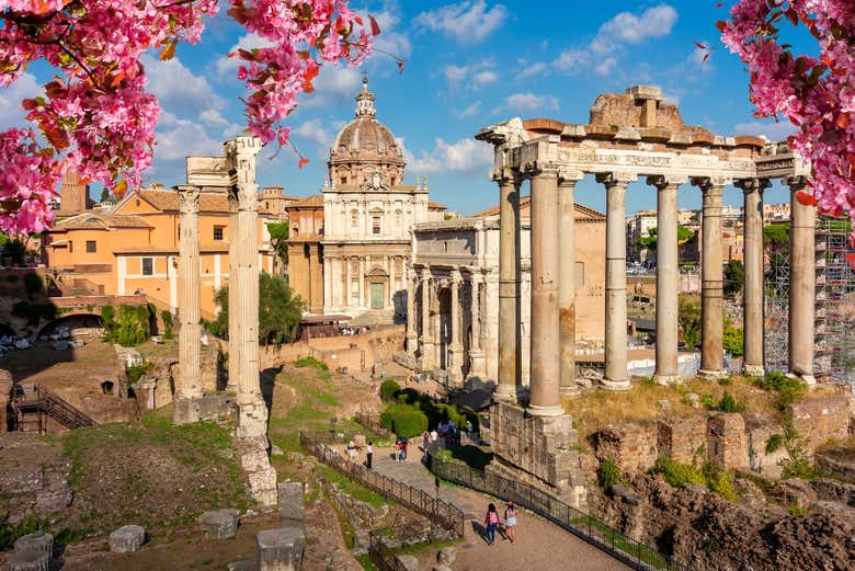 Excursión a Roma en tren de alta velocidad + Visita al Coliseo, Foro y Palatino