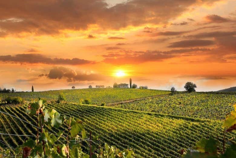 Tour enoturístico por la región del Chianti