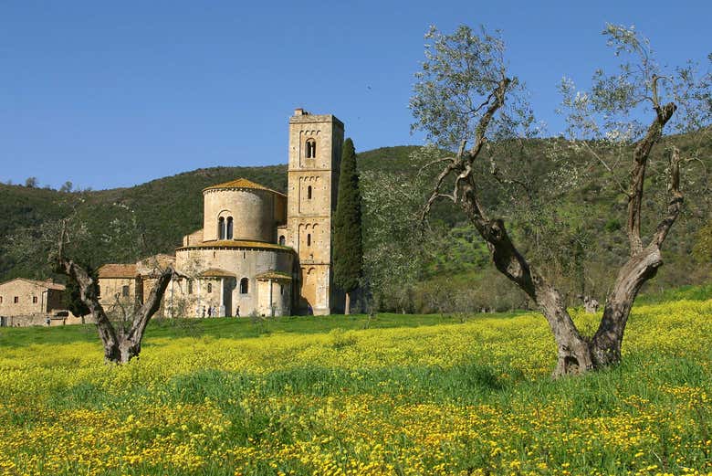 Tour del vino por el Valle de Orcia