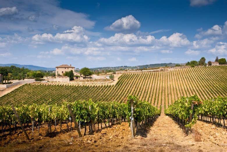 Excursión a San Gimignano, Siena, Chianti y Monteriggioni