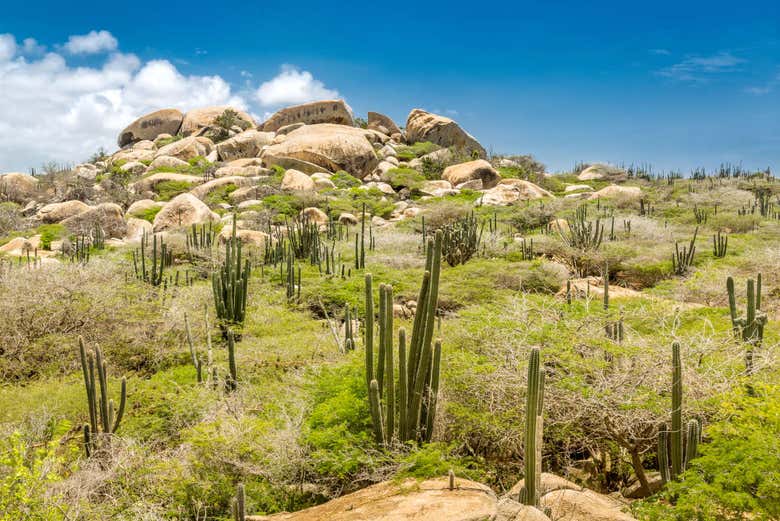 Paseo a caballo por el norte de Aruba