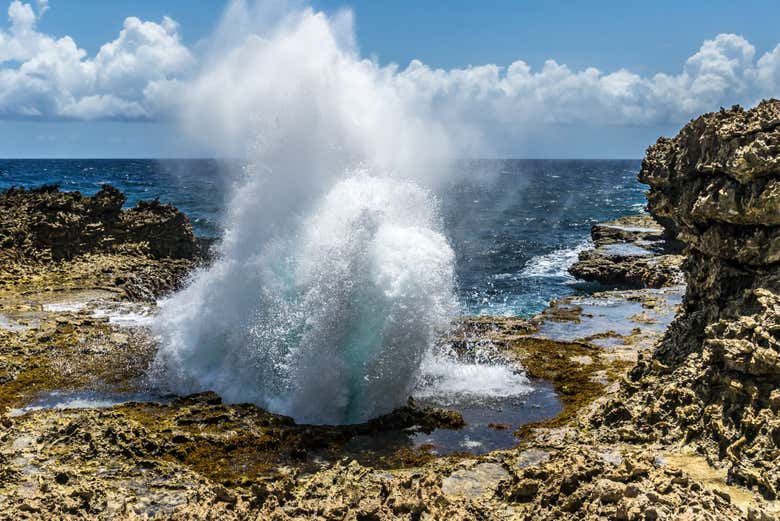 Tour por Curazao, la vuelta a la isla