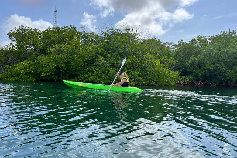 Tour en kayak por la Laguna Española y Mangel Halto + Snorkel