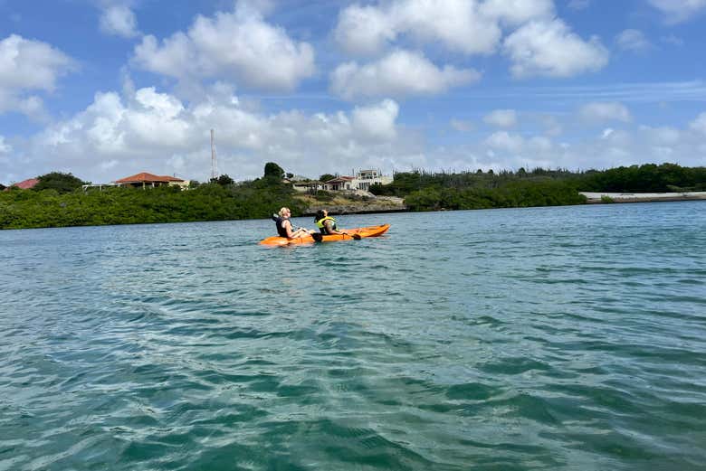 Tour en kayak por la Laguna Española y Mangel Halto + Snorkel