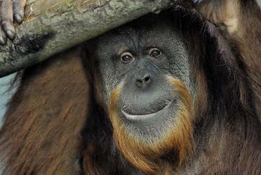 Entrada al Bioparco de Roma