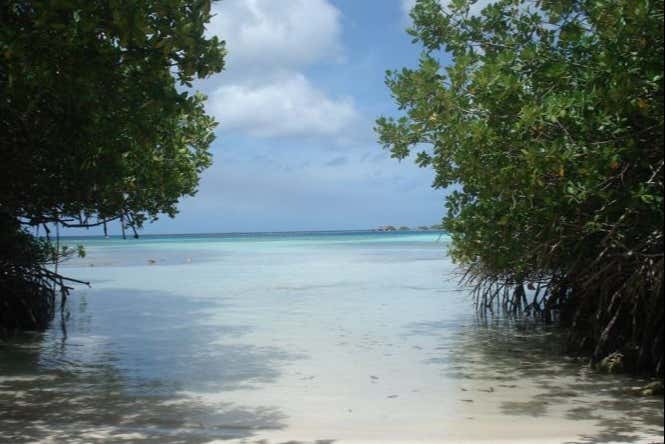 Tour por el sur de Aruba