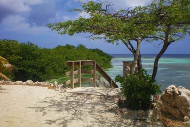 Tour por el sur de Aruba