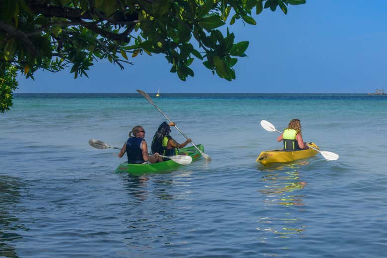 Tour en kayak por la isla de Sea Glass
